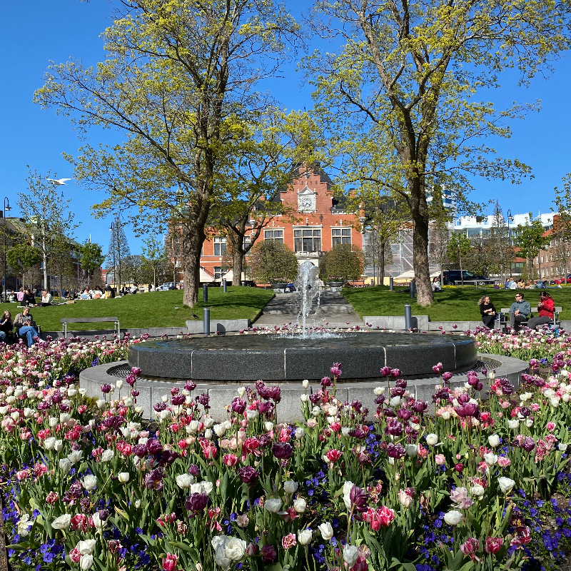 Flyttstädning i Umeå